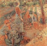 Camille Pissarro Apple picking France oil painting artist